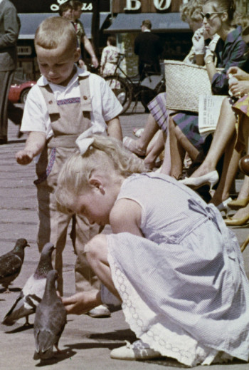 ErindringsBio: Et par ord om Danmark og Hvad sk..._poster