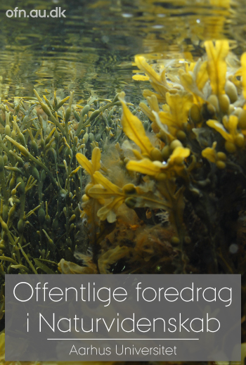 Foredrag: Tang_poster