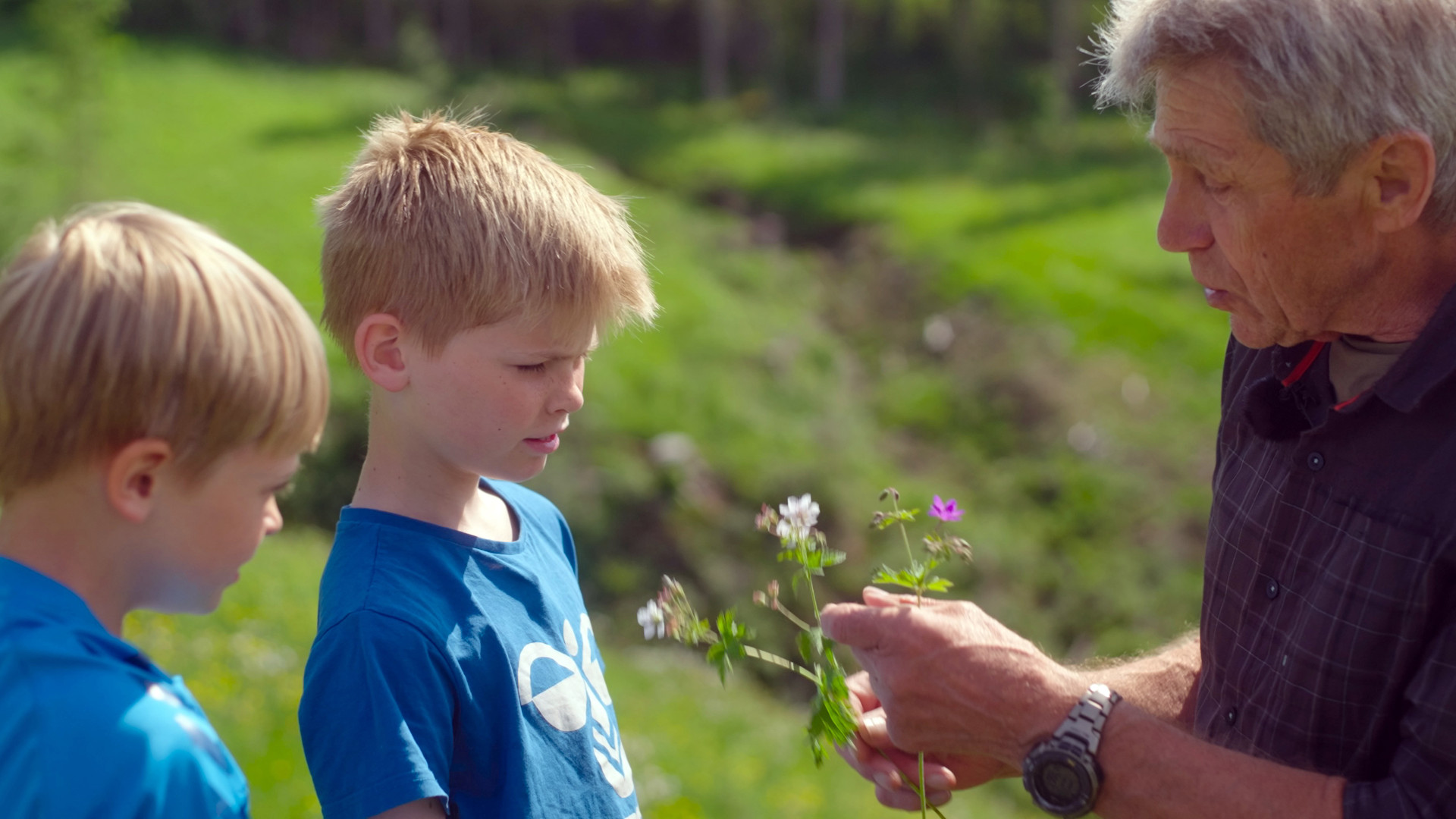 Ilden, Vandet, Jorden, Luften_slide_poster