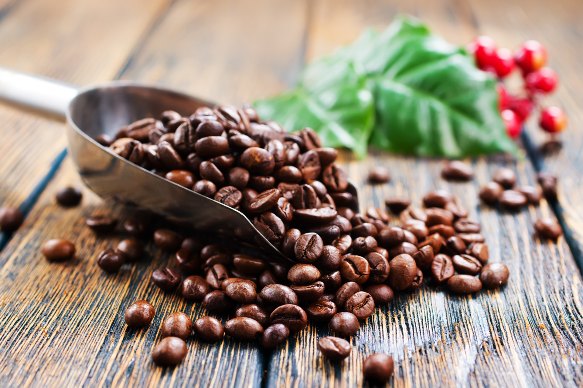 Foredrag: Kaffe_slide_poster