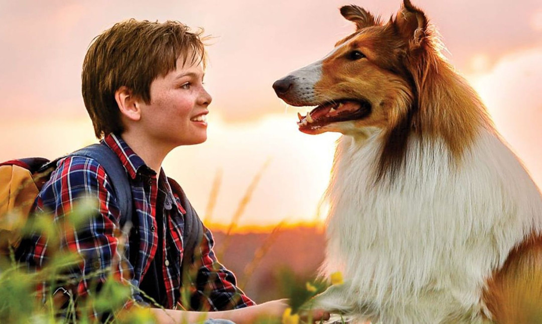 Lassie kommer hjem - Med dansk tale_poster